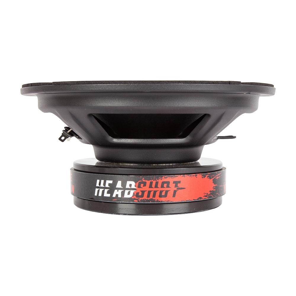 Headshot DM80