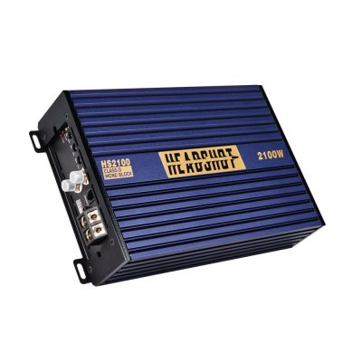 hs 2100 1
